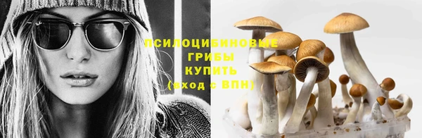 jwh Алзамай