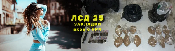 шишки Алексин